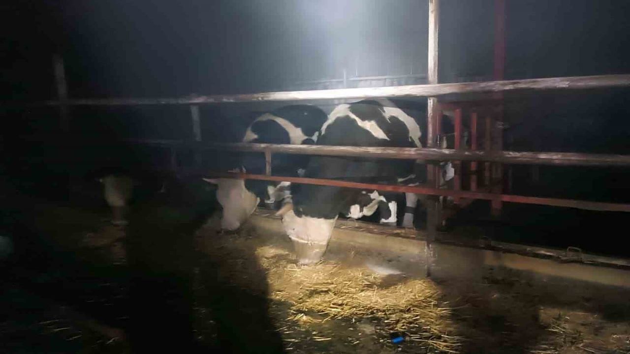 Hatay'da Samanlık Yangını Kontrol Altına Alındı