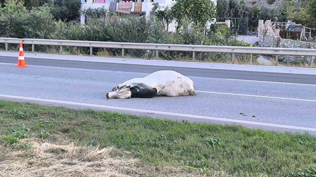 Hatay Otobanda Kaza: İki Kişi Hayatını Kaybetti