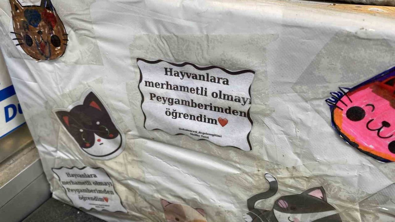 Hayvansever Esnafın Yaratıcı Notu: "Dilenci Değilim"