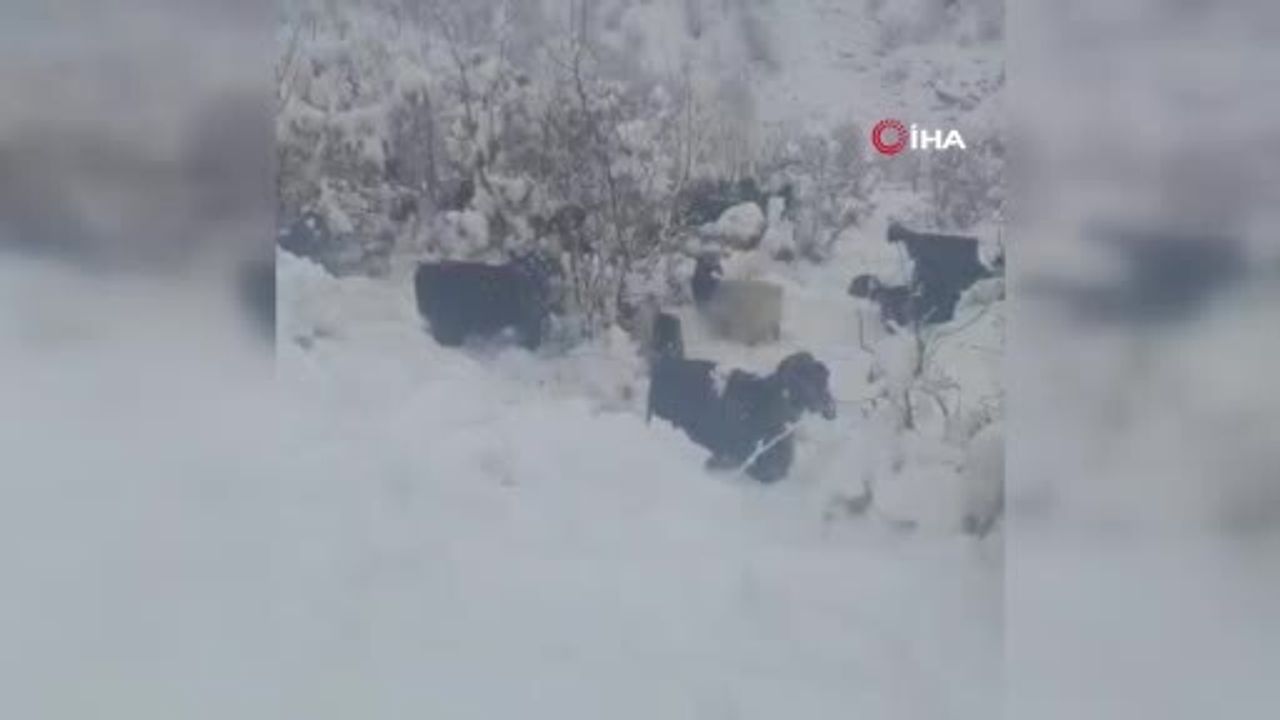 Hizan'da Kar Yağışı Zorluklar Getirdi