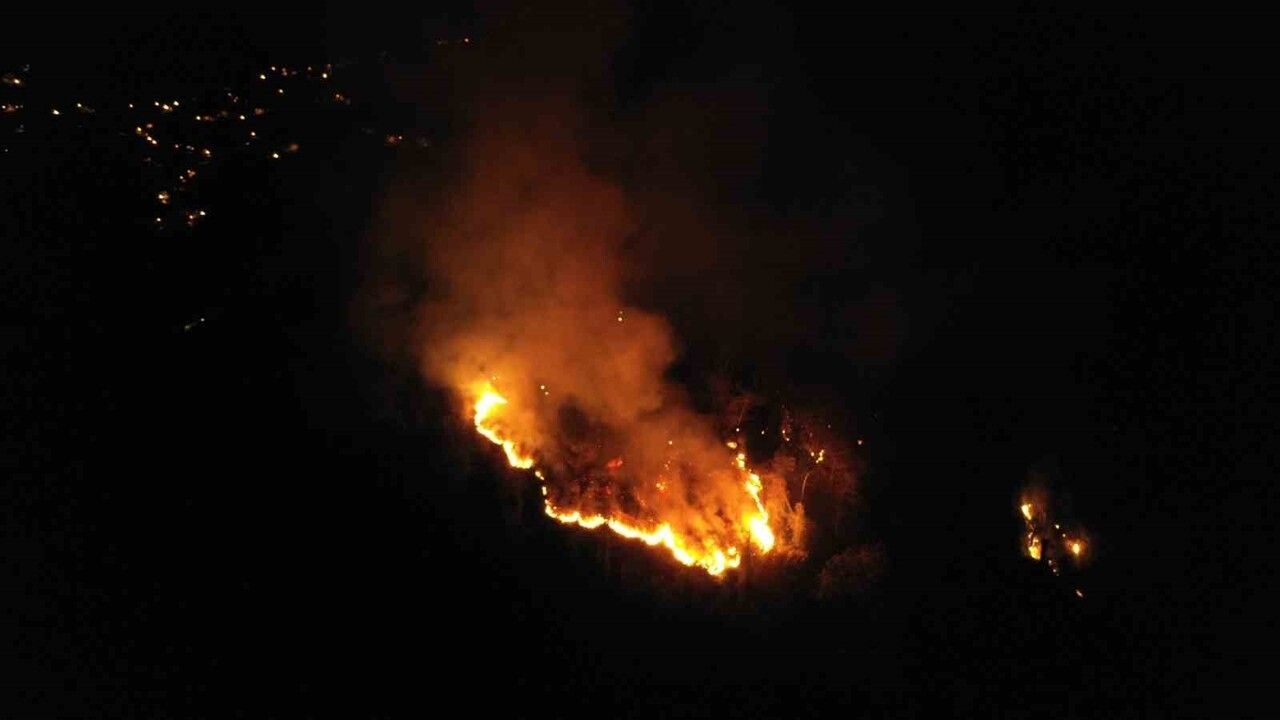 Hopa'daki Orman Yangını Kontrol Altına Alındı