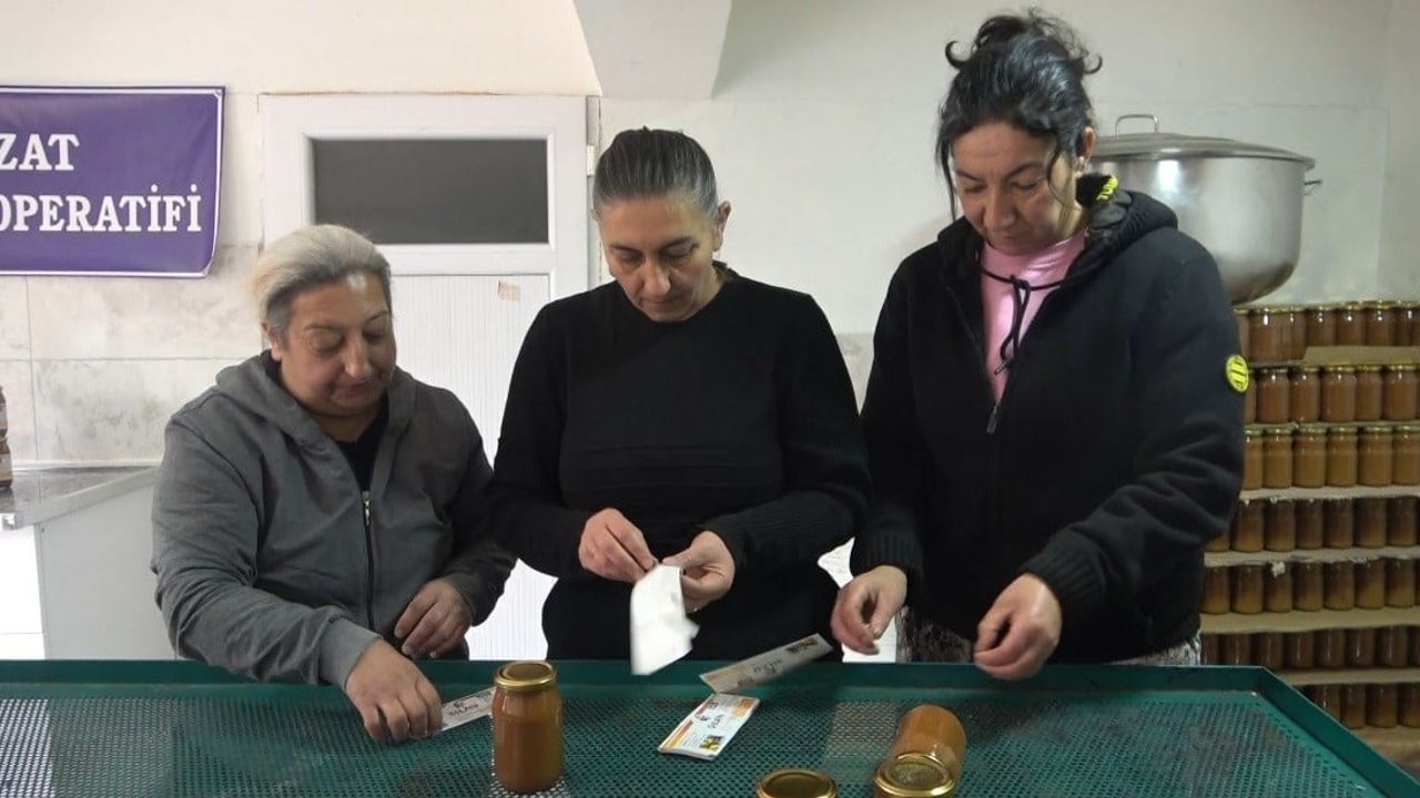 Hozat Kadın Kooperatifi: Kadınların Gücü ve Doğanın Değeri