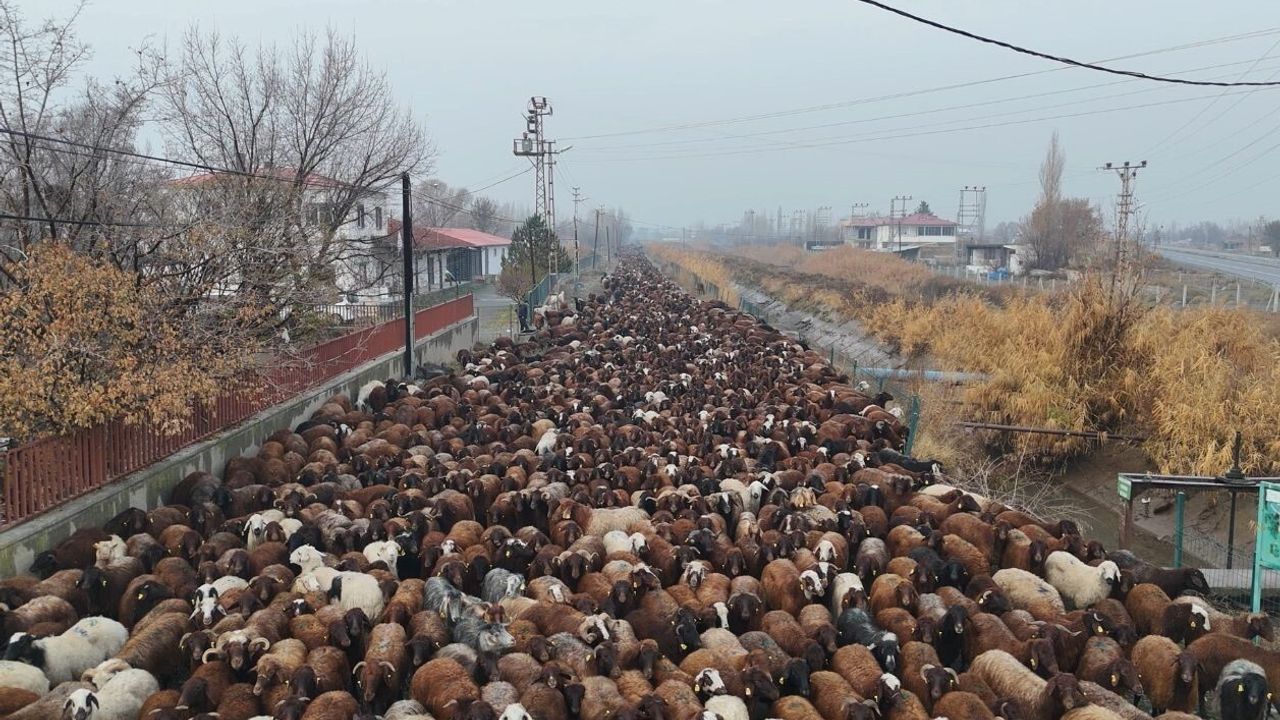 Iğdırlı Göçerlerin Zorlu Dönüş Yolculuğu