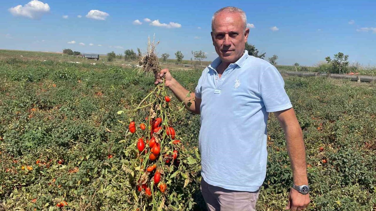 İlginç Bir Hikaye: Seçim Gezegen'in İsmi