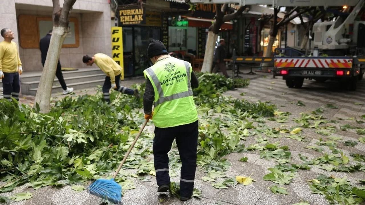 İncirliova Sevgi Yolu'nda Ağaç Bakım Çalışmaları Başladı