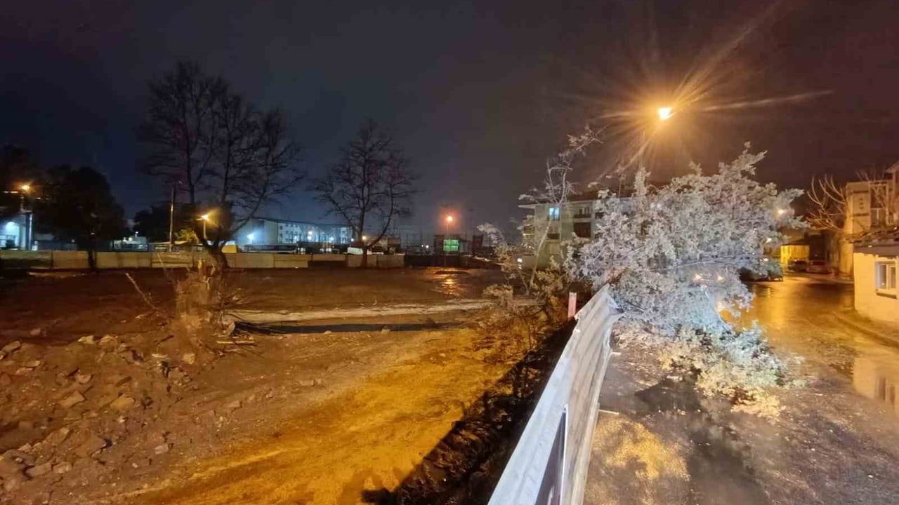 İnegöl'de Rüzgarın Etkisiyle Ağaç Devrildi