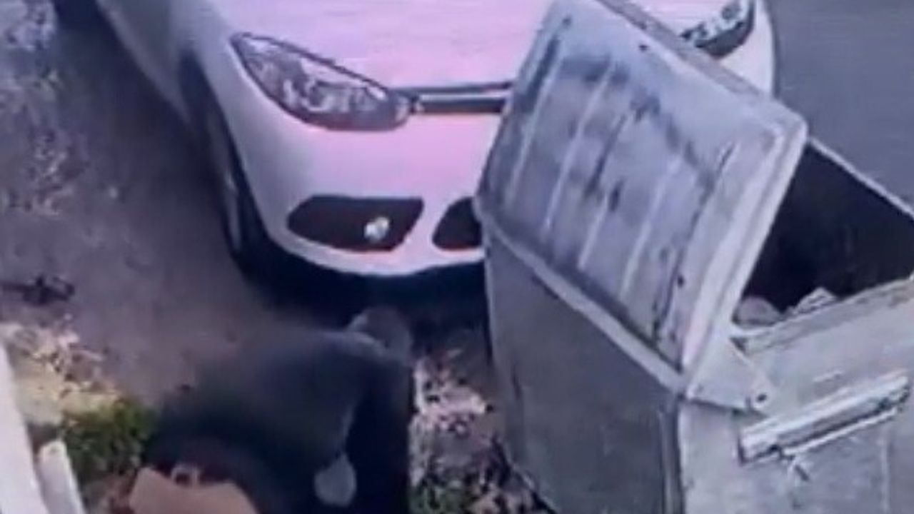 İSKİ Çalışanının Şaşırtan Davranışı Pendik'te Tepki Topladı