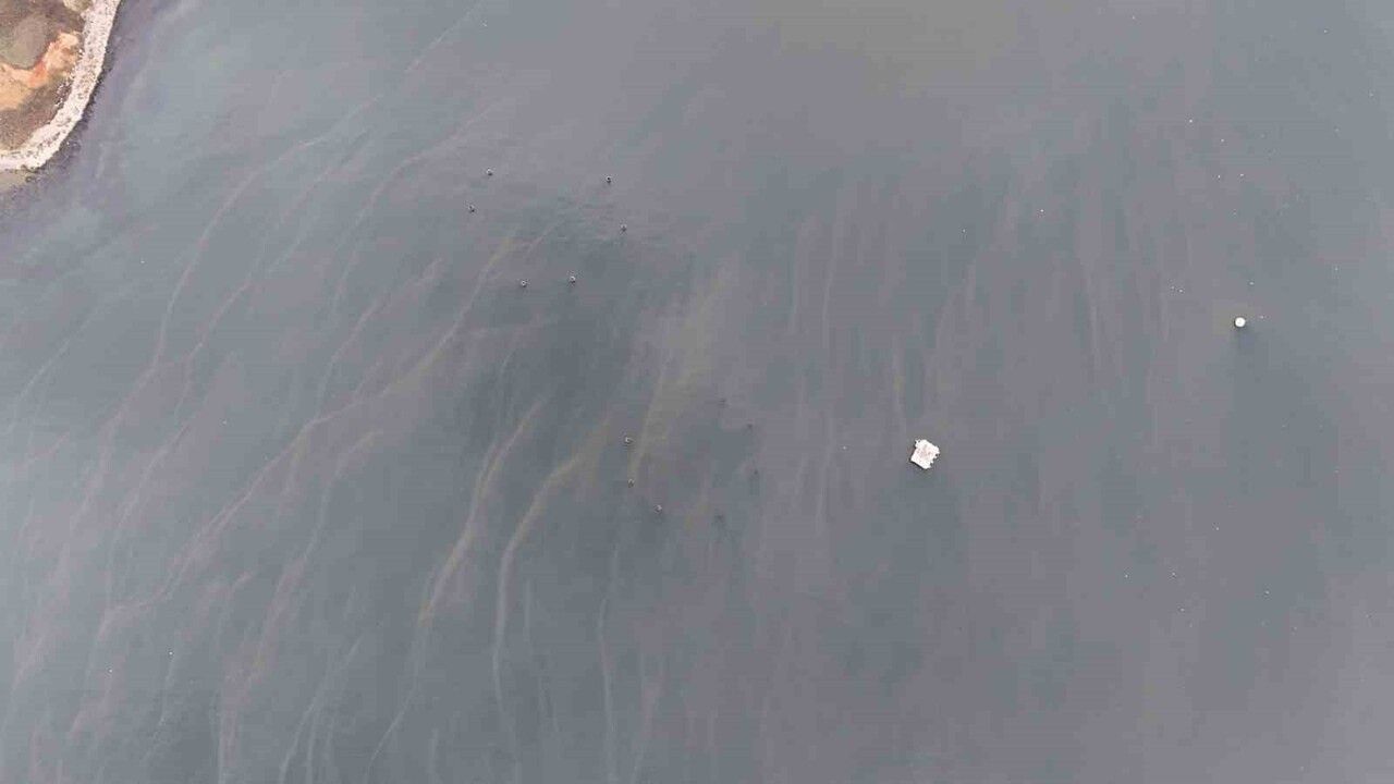 İSKİ'nin Marmara Denizi'ne Lağım Deşarjı Süregeldiğini Gösteriyor