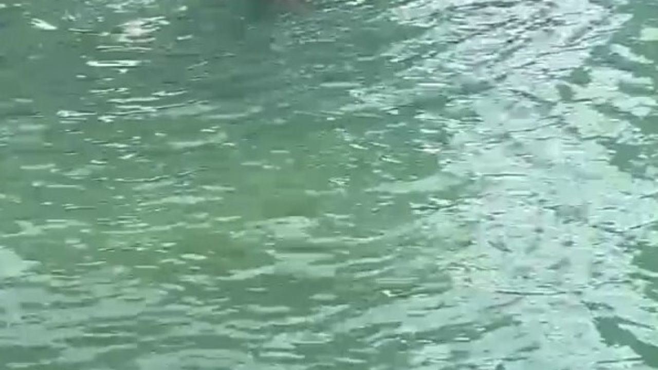 İşten Atıldığını Söyleyen Kişi Balıklıgöl’e Atlama Girişiminde Bulundu