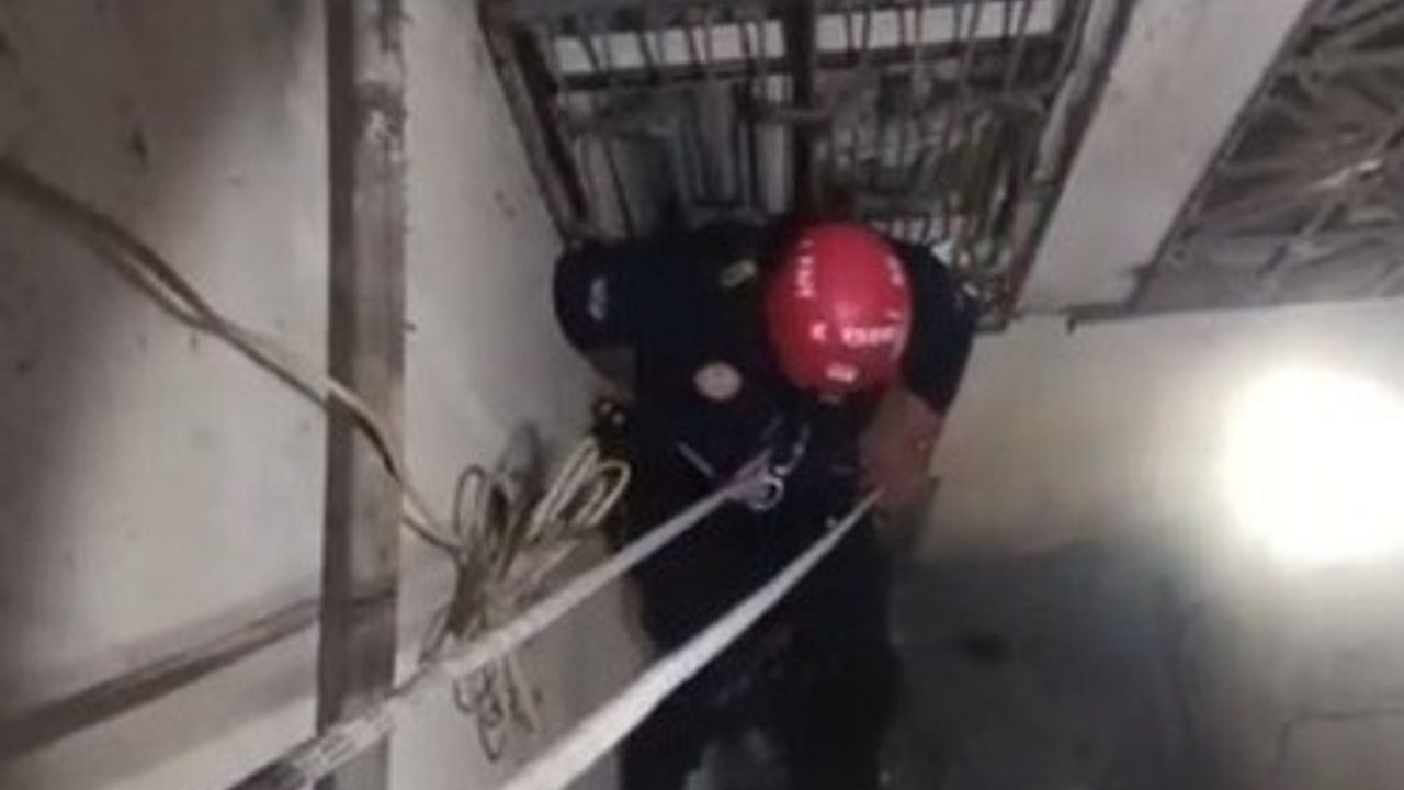 İtfaiye Ekibi Havalandırma Boşluğundaki Tofu'yu Kurtardı