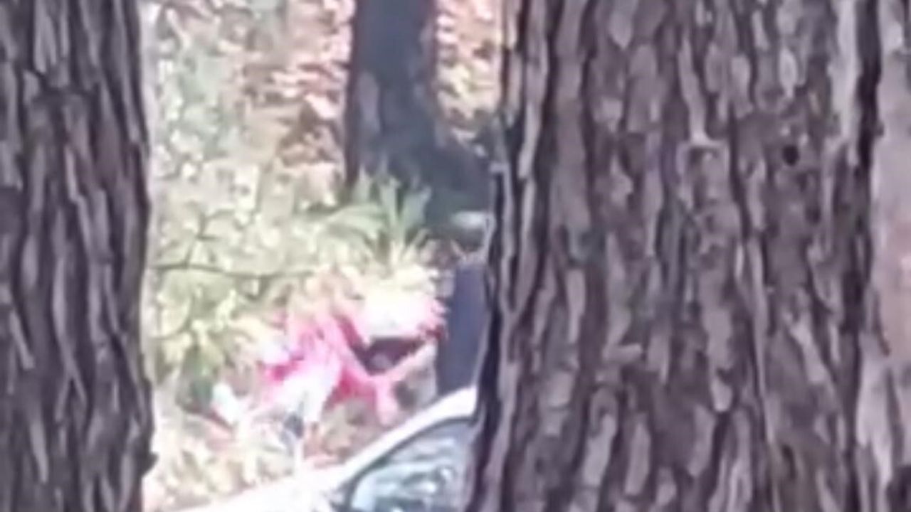 İzmir'de Kadın Darbedildi: O Anlar Kamerada