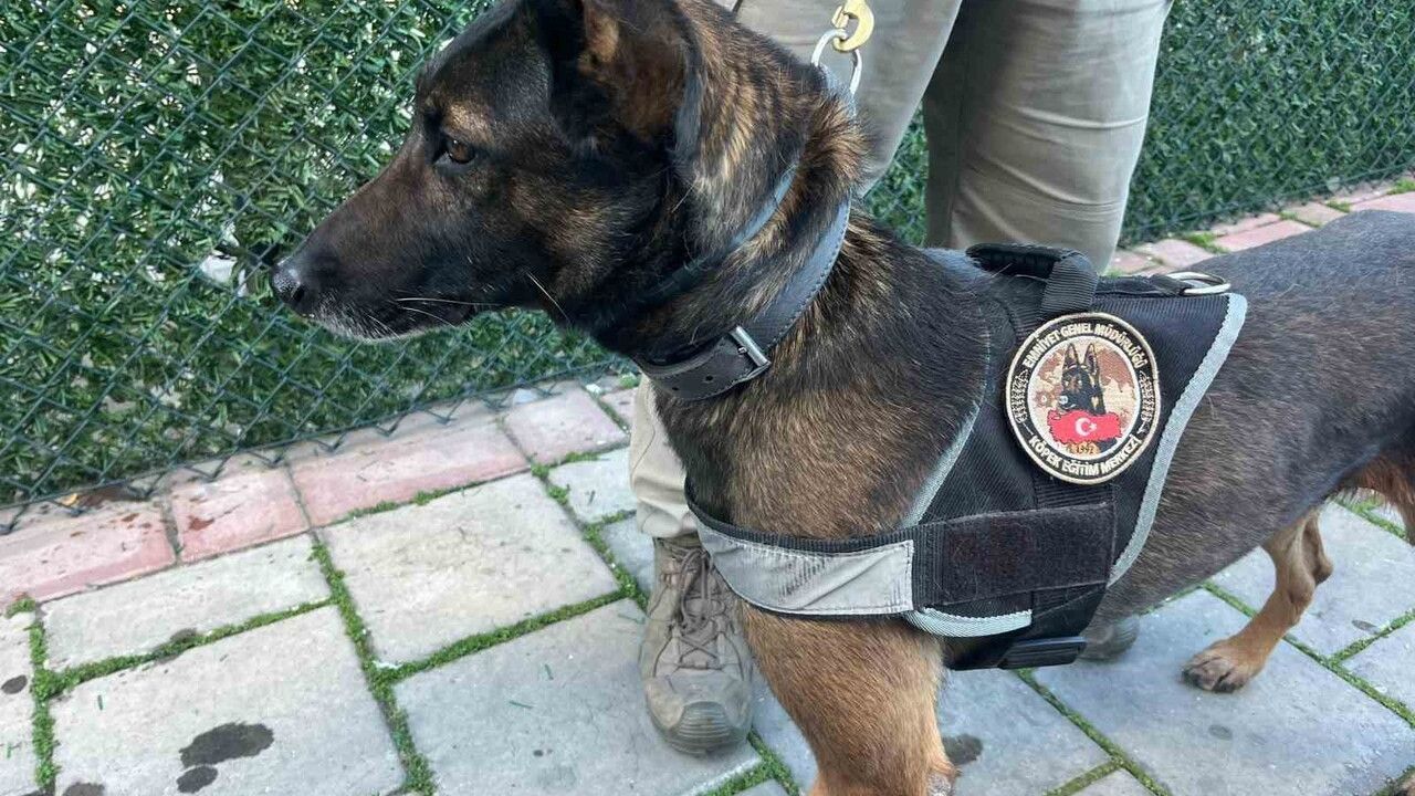 İzmir'de Uyuşturucu Operasyonunda 3 Milyon Hap Ele Geçirildi