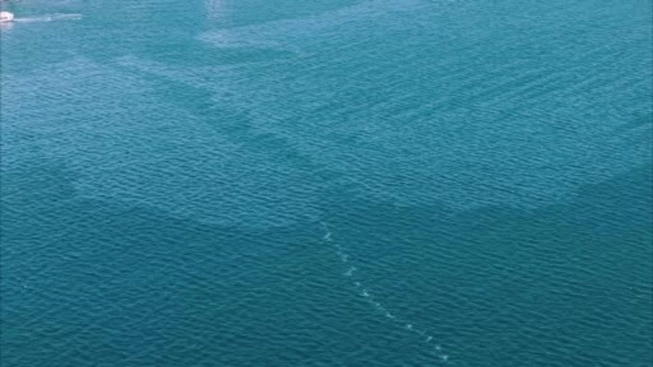 İzmir Körfezi'nde Artan Çevre Kirliliği Sorunu