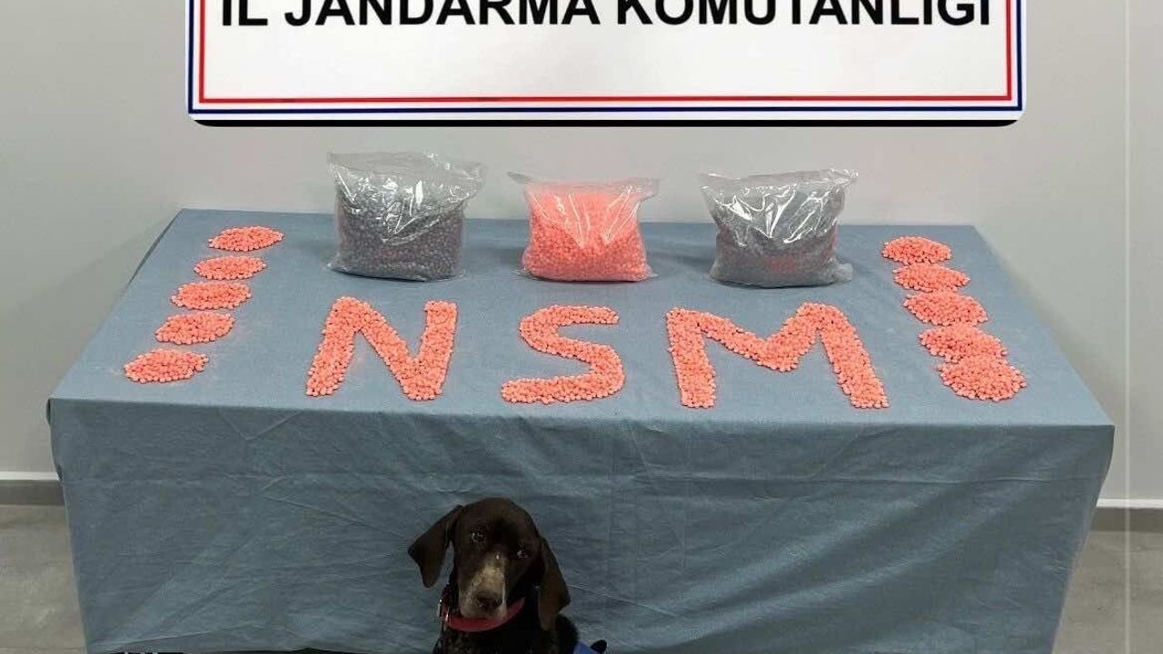 Jandarma'dan Uyuşturucu Operasyonu: 28 Bin Hap Ele Geçirildi