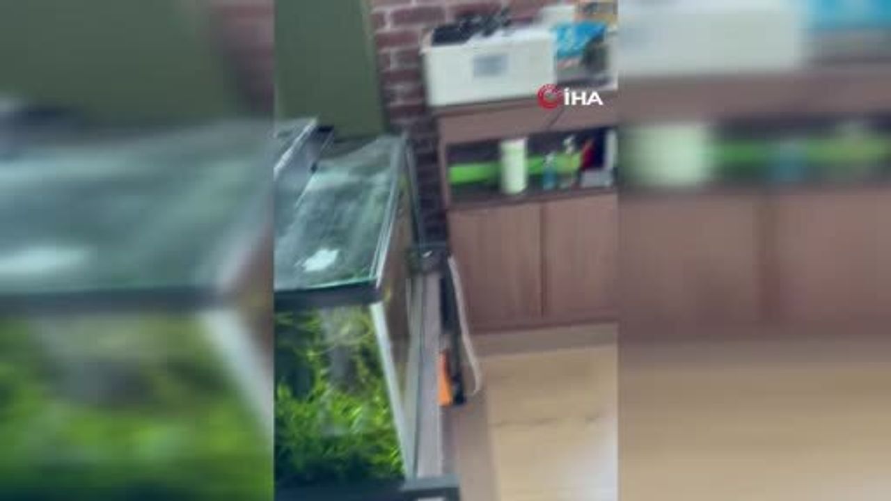 Japonya’da 6.7 Büyüklüğünde Deprem ve Tsunami Uyarısı