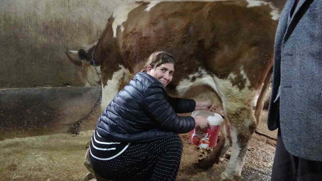 Kadın Muhtarın Başarısı: Hozat'ta Bir İlk