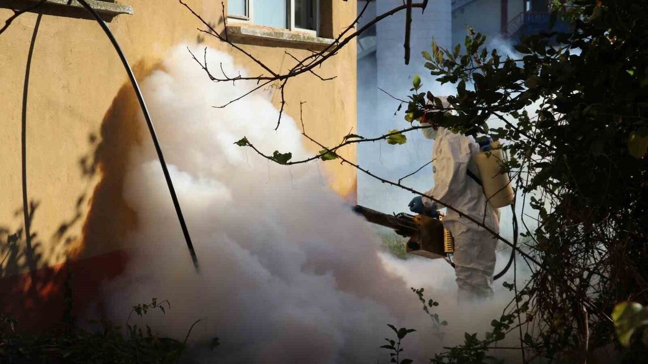 Kahverengi Kokarca ile Mücadele Devam Ediyor