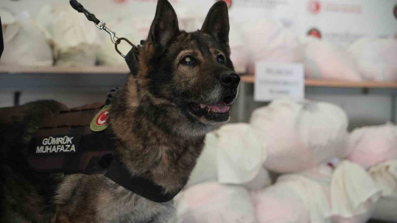 Kapıkule'de Yılbaşı Öncesi Uyuşturucu Operasyonu: 600 Kilogram Ele Geçirildi