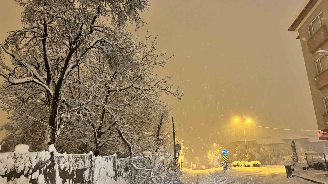 Karabük'te Kar Yağışı Ağaçları Etkiledi