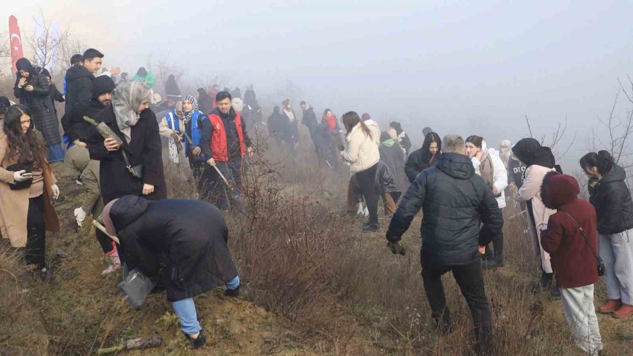 Karabük Üniversitesi'nde Fidan Dikimi
