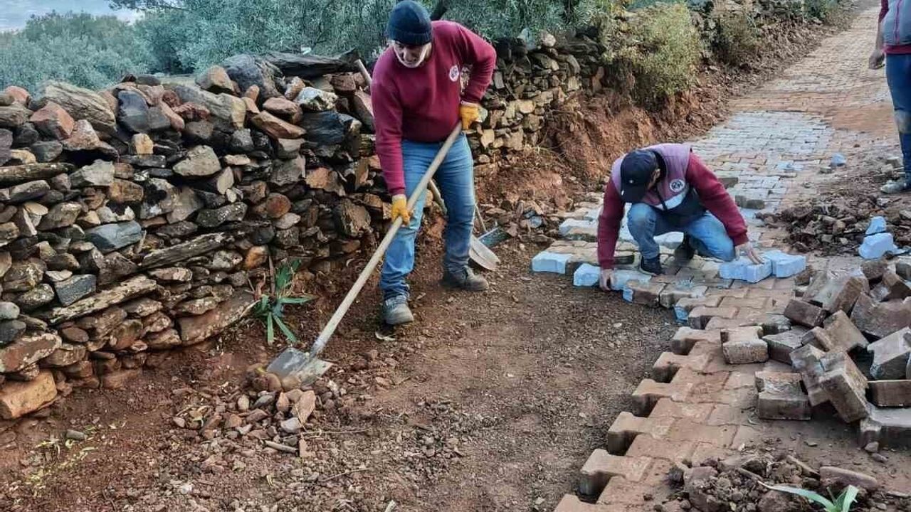 Karacasu Yazır Mahallesi'nde Yol Bakım Çalışmaları Başladı