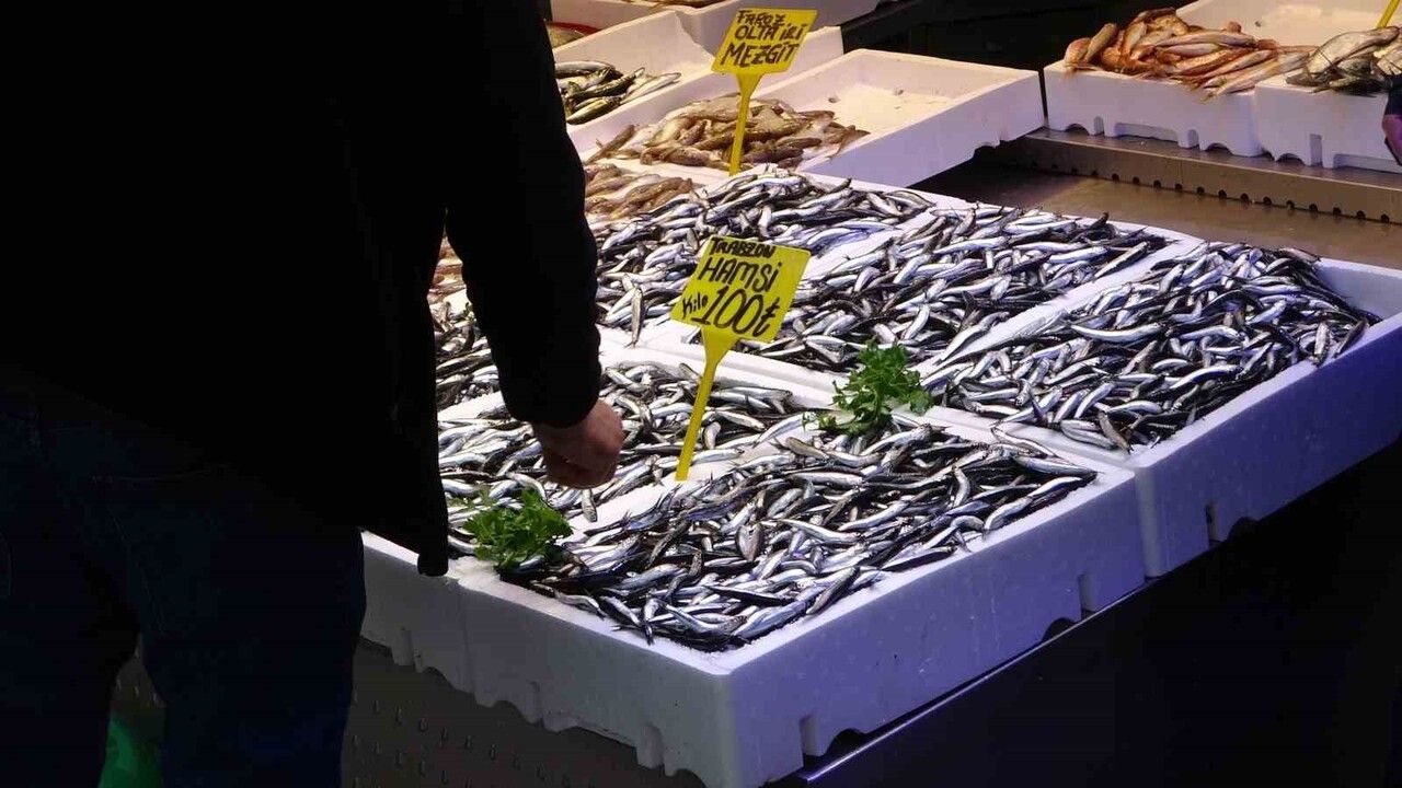 Karadeniz'de Hamsi Bereketi Devam Ediyor