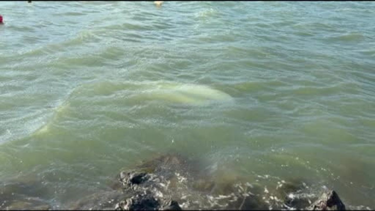 Karadeniz'de Kuvvetli Fırtına: Samsun'da 3 Tekne Battı