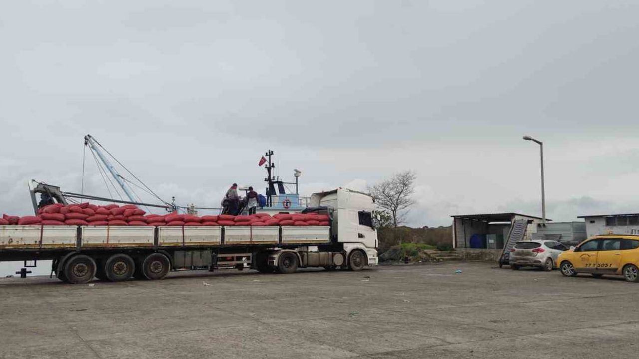 Karadeniz'den Çıkarılan Beyaz Kum Midyesine Sıkı Denetim Uygulanıyor