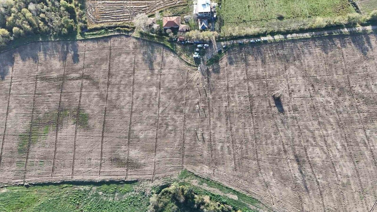 Karadeniz'in En Büyük İncir Projesi: Gelir Kız Öğrencilere Burs Olarak Aktarılacak