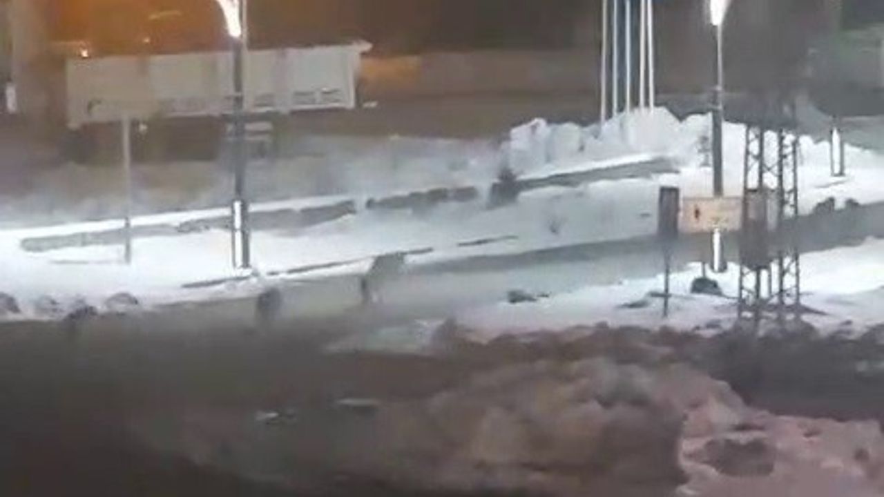 Karayazı'da Akşam Saatlerinde Kurt Saldırısı Panik Yaratıyor