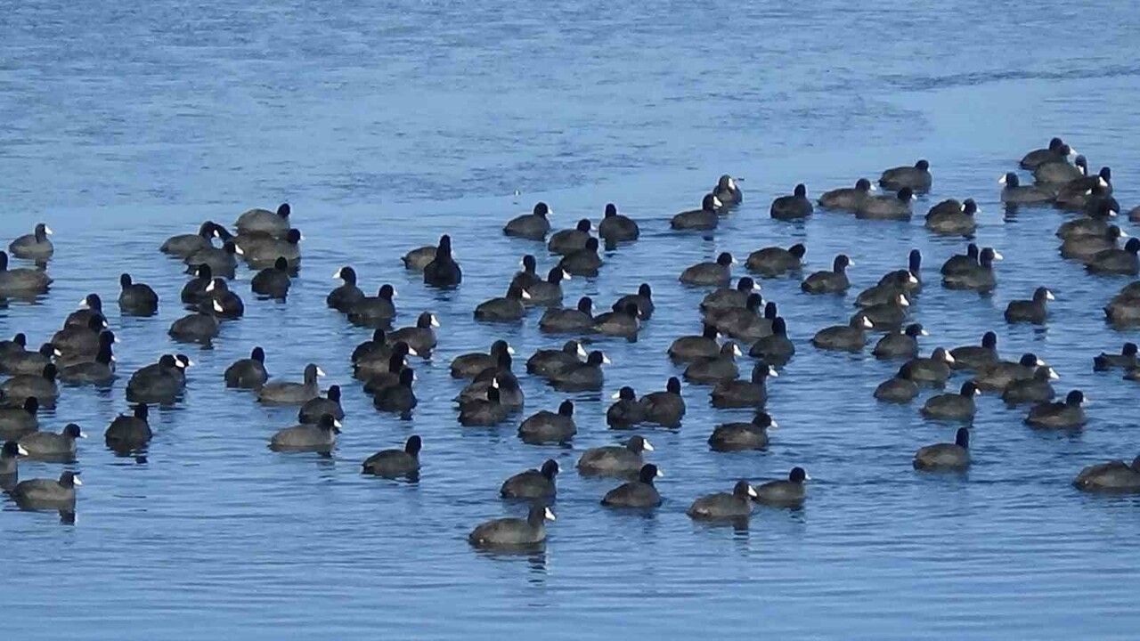 Kars'ın Sakarmekeleri Kışa Aldırış Etmiyor
