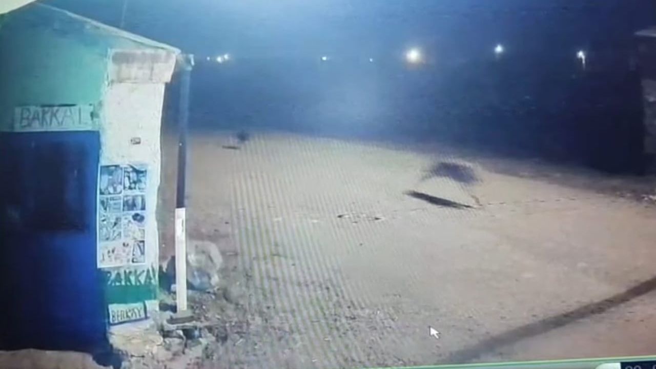 Kars'ta Yaban Hayvanlarının İlginç Kovalamacası