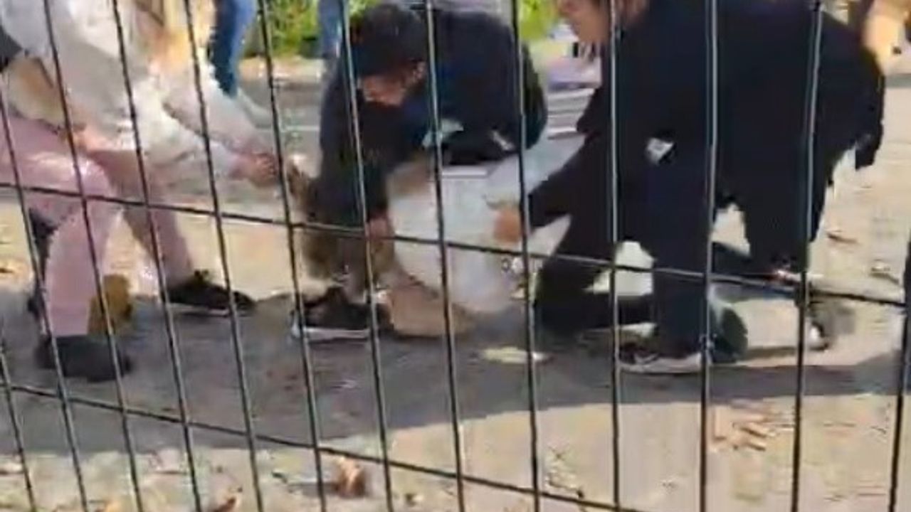 Kartal Anadolu Adliyesi Önünde Aileler Arasında Kavga