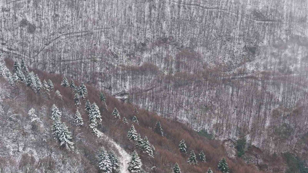 Kartepe'de Kar Güzelliği