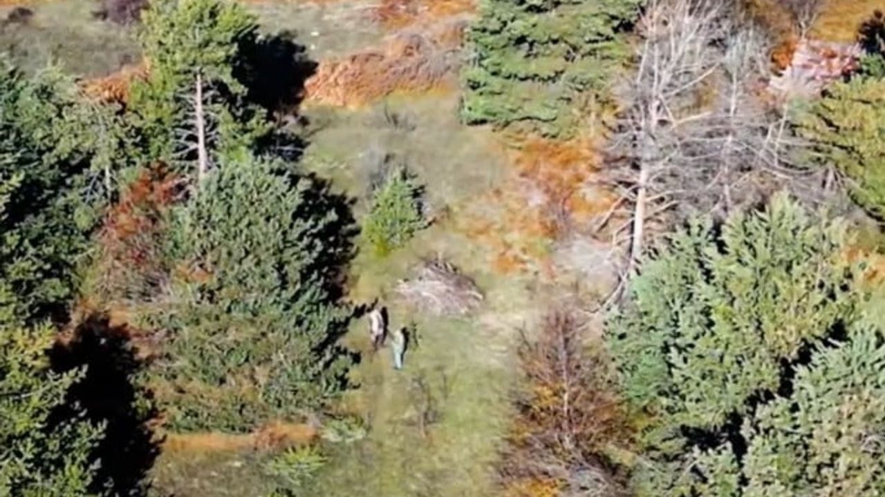 Kastamonu'da Dron ile Kaçak Avcılar Yakalandı