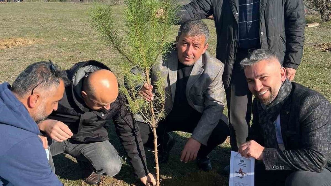 Kavak'ta Doğa ve Eğitim İçin Fidan ile Kitap Desteği