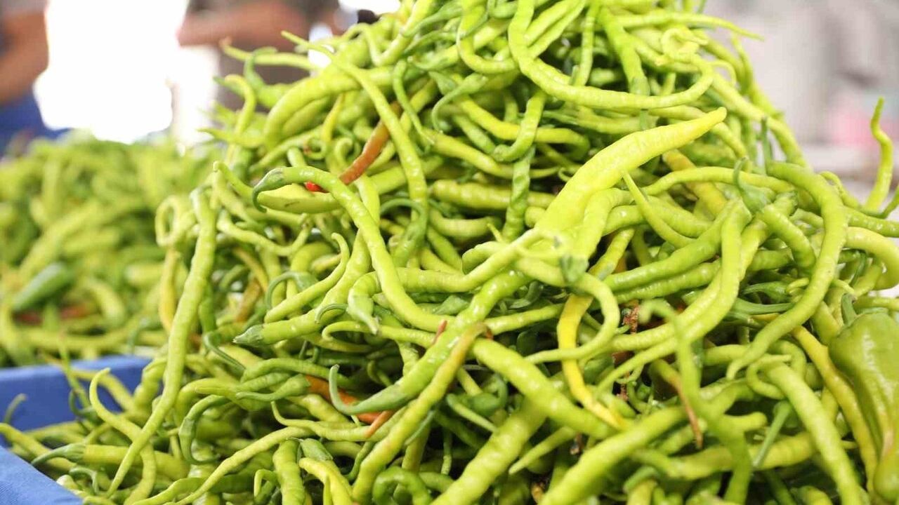 Kayseri'de Organik Tarımın Yeni Vizyonu: Yüzde 100 Ekolojik Pazar