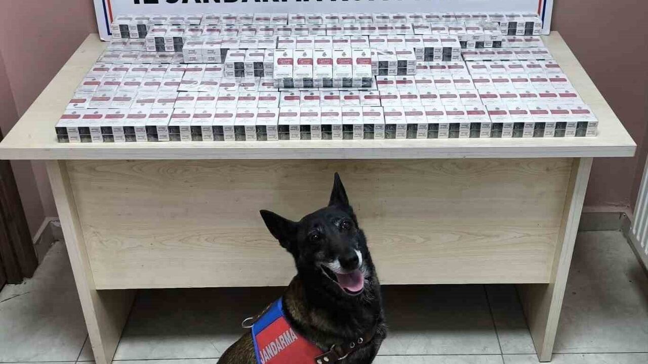 Kayseri'de Yol Kontrolünde 930 Paket Kaçak Sigara Ele Geçirildi