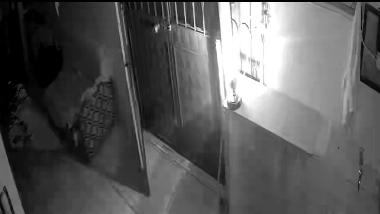 Kedilerinin Mamasını Çalan Porsuk İçin Alarm Sistemi Kurdu