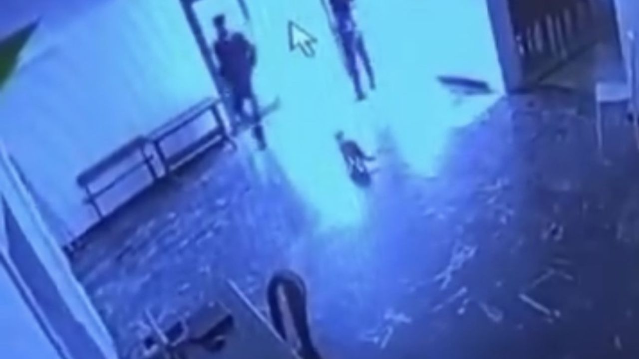 Kediye Şiddet Olayı Elazığ'da Kameralara Yansıdı