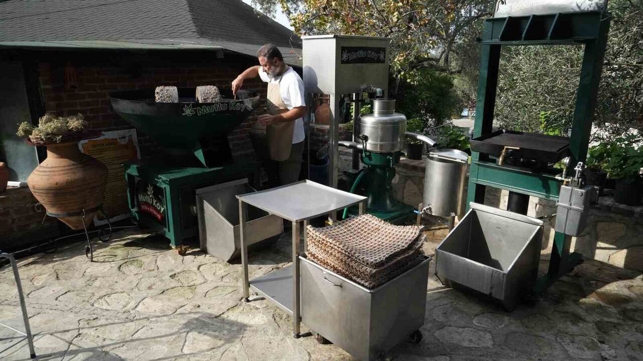 Kekik ve Zeytinyağının Eşsiz Buluşması