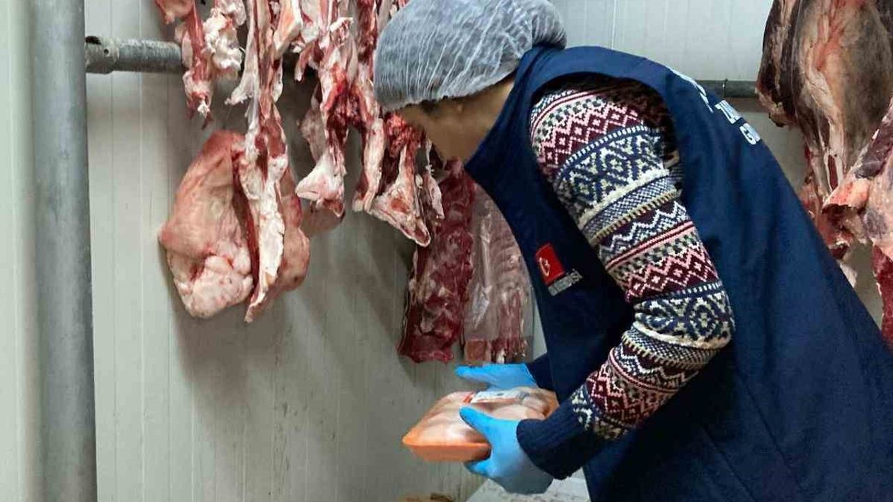 Kemer'de Yeni Yıl Denetimleri