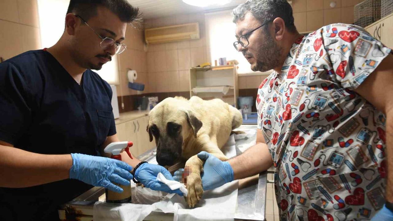 Kepez Belediyesi Çalışanlarına Yapılan Saldırıya Tepki