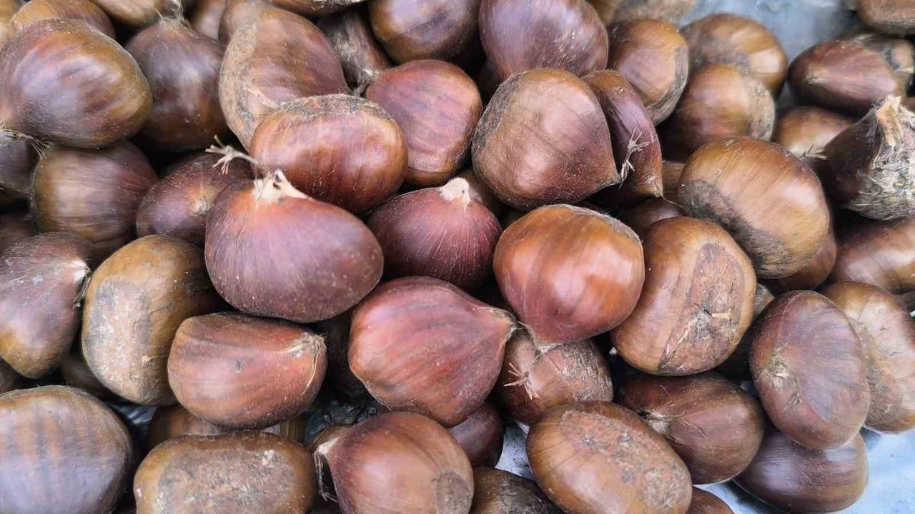 Kestane Fiyatları Yüz Güldürüyor