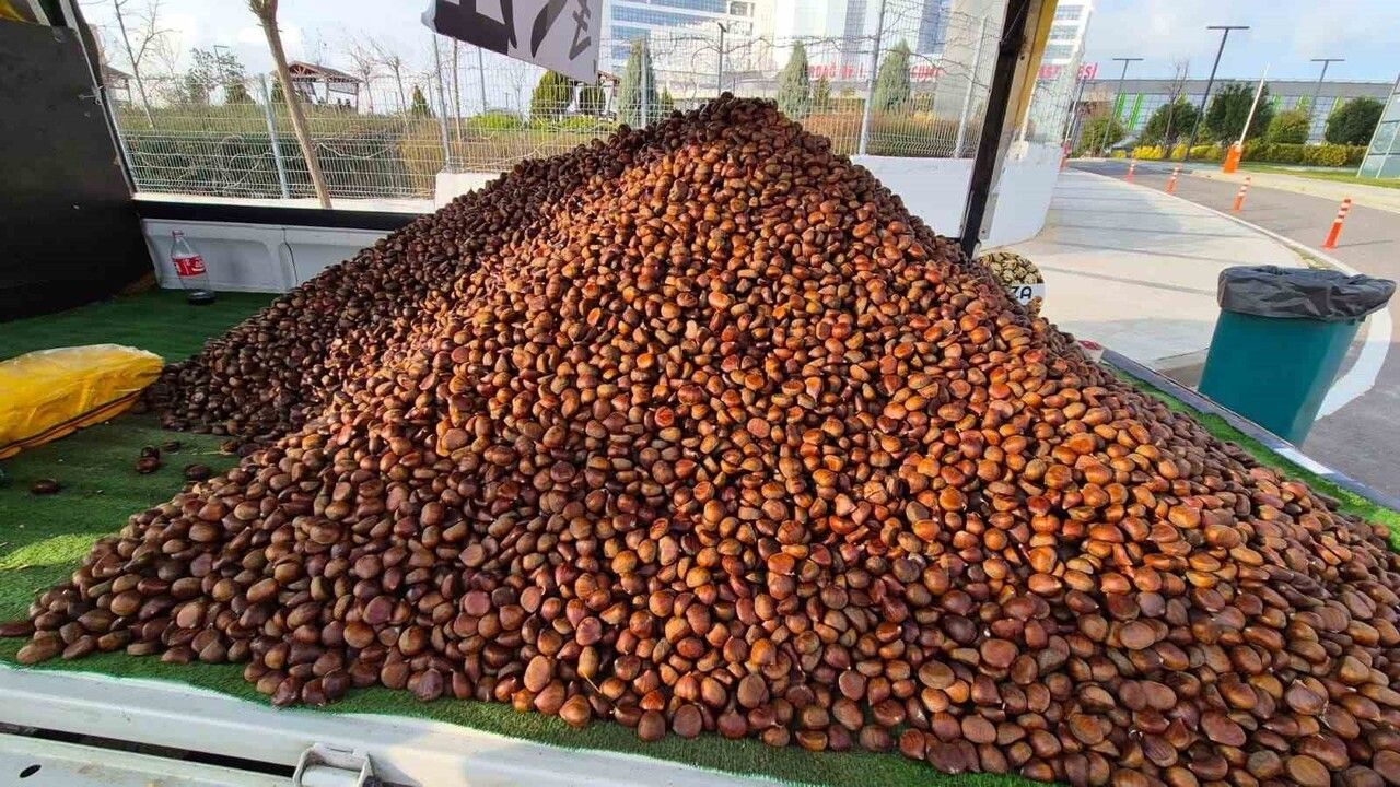 Kestane Sezonu Başladı: Kilosu 175 Lira