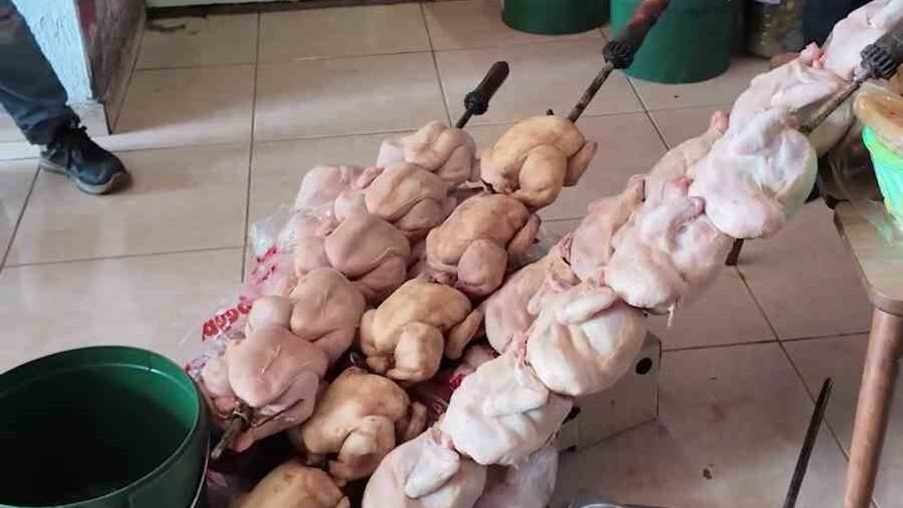 Kırıkhan'da Hijyen Skandalı: Leş Kokusu Olan Dönerci Kapatıldı