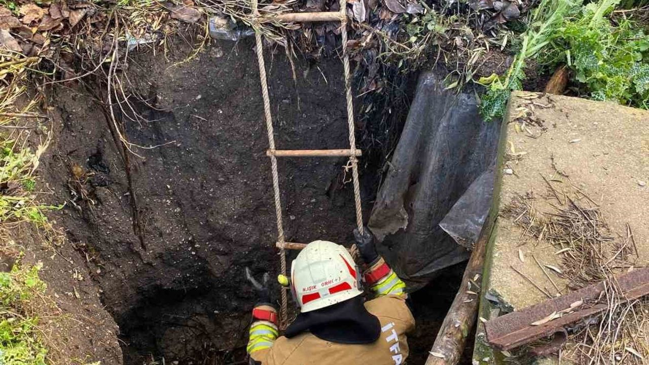 Kırkağaç'ta Kuyuya Düşen Köpek İtfaiye Tarafından Kurtarıldı