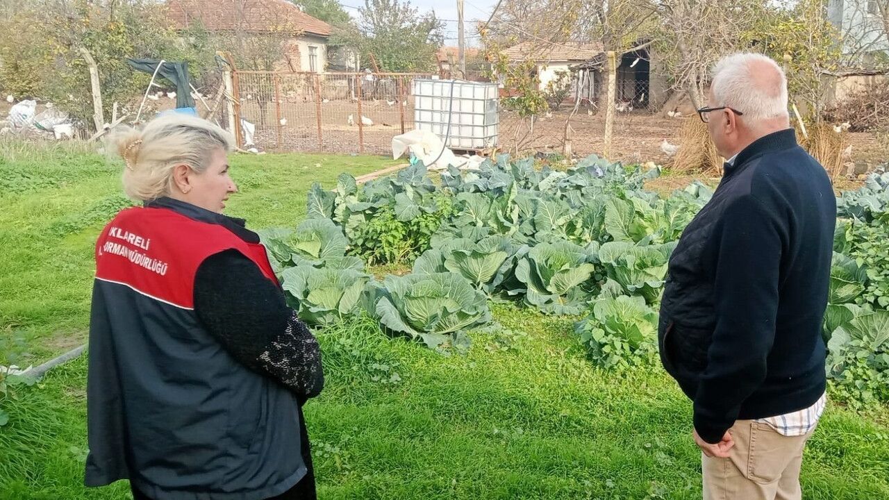 Kırklareli’nde Sera Kontrolleri Gerçekleştirildi