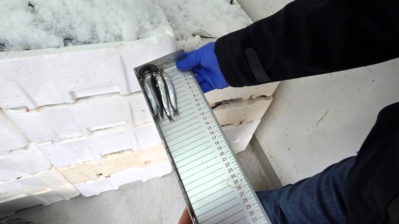 Kırklareli'nde Su Ürünleri Denetimi Gerçekleştirildi