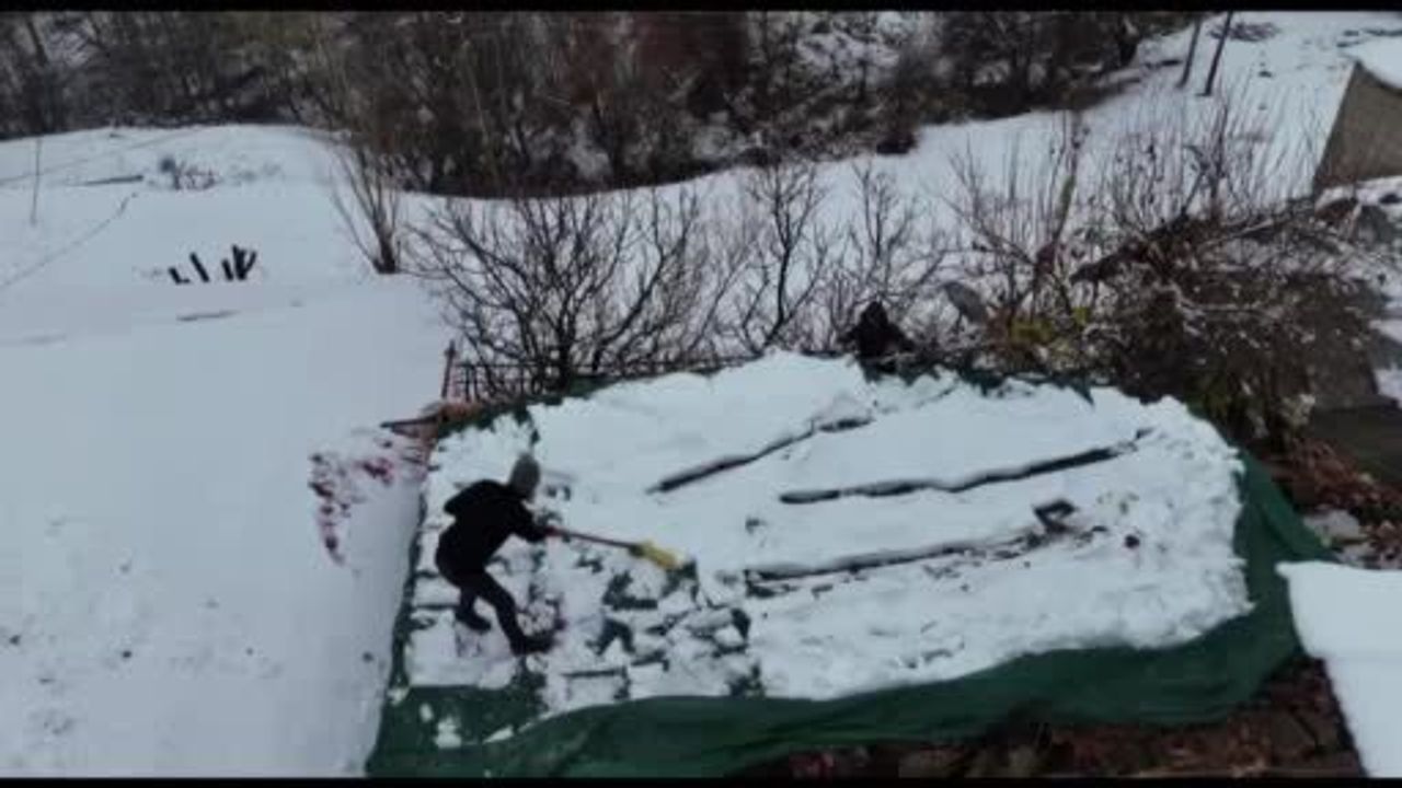 Kışın Vazgeçilmezi: Aktütün Kışlık Üzümü